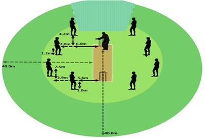 Emergence of Skilled Behaviors in Professional, Amateur and Junior Cricket Batsmen During a Representative Training Scenario